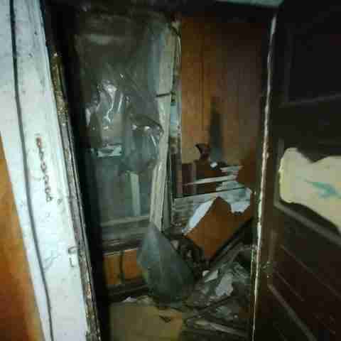 8031 conger (24).jpg